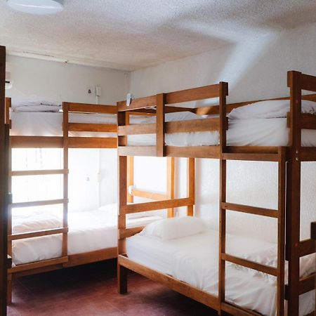 Desert Heart Hostel San José del Cabo المظهر الخارجي الصورة