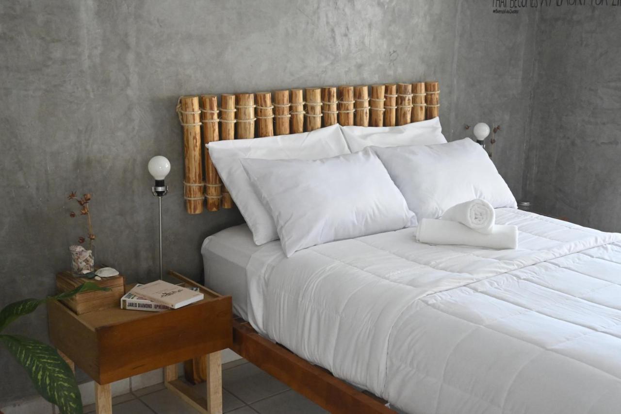 Desert Heart Hostel San José del Cabo المظهر الخارجي الصورة