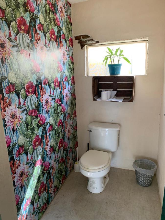 Desert Heart Hostel San José del Cabo المظهر الخارجي الصورة