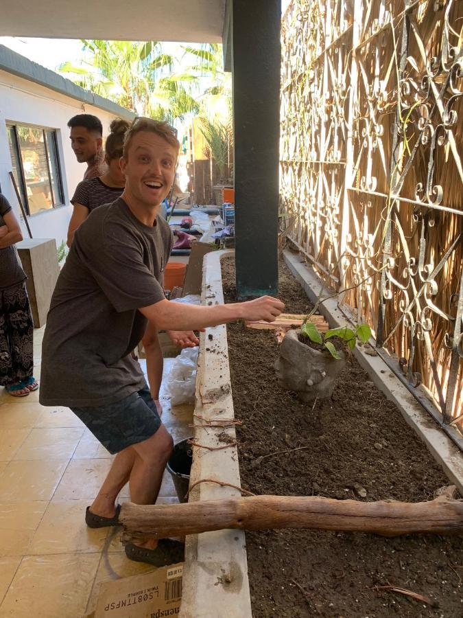 Desert Heart Hostel San José del Cabo المظهر الخارجي الصورة