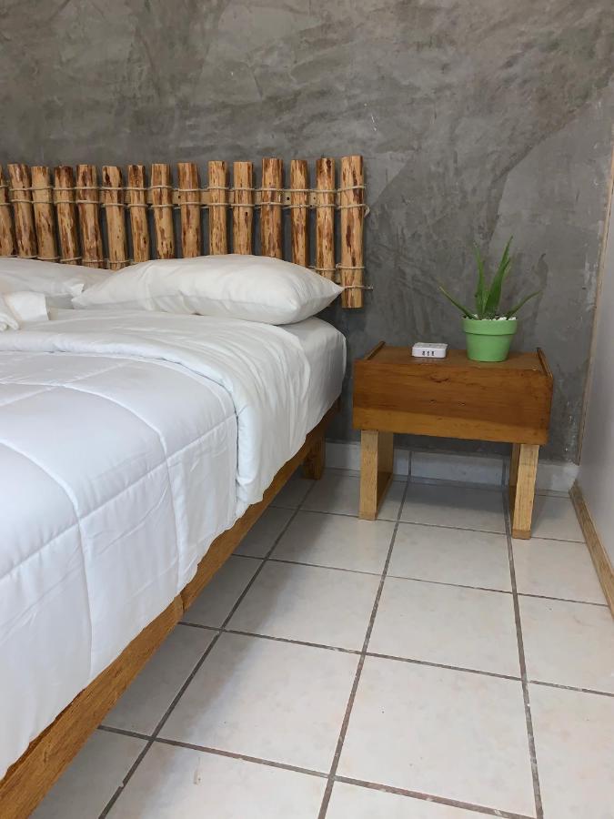 Desert Heart Hostel San José del Cabo المظهر الخارجي الصورة