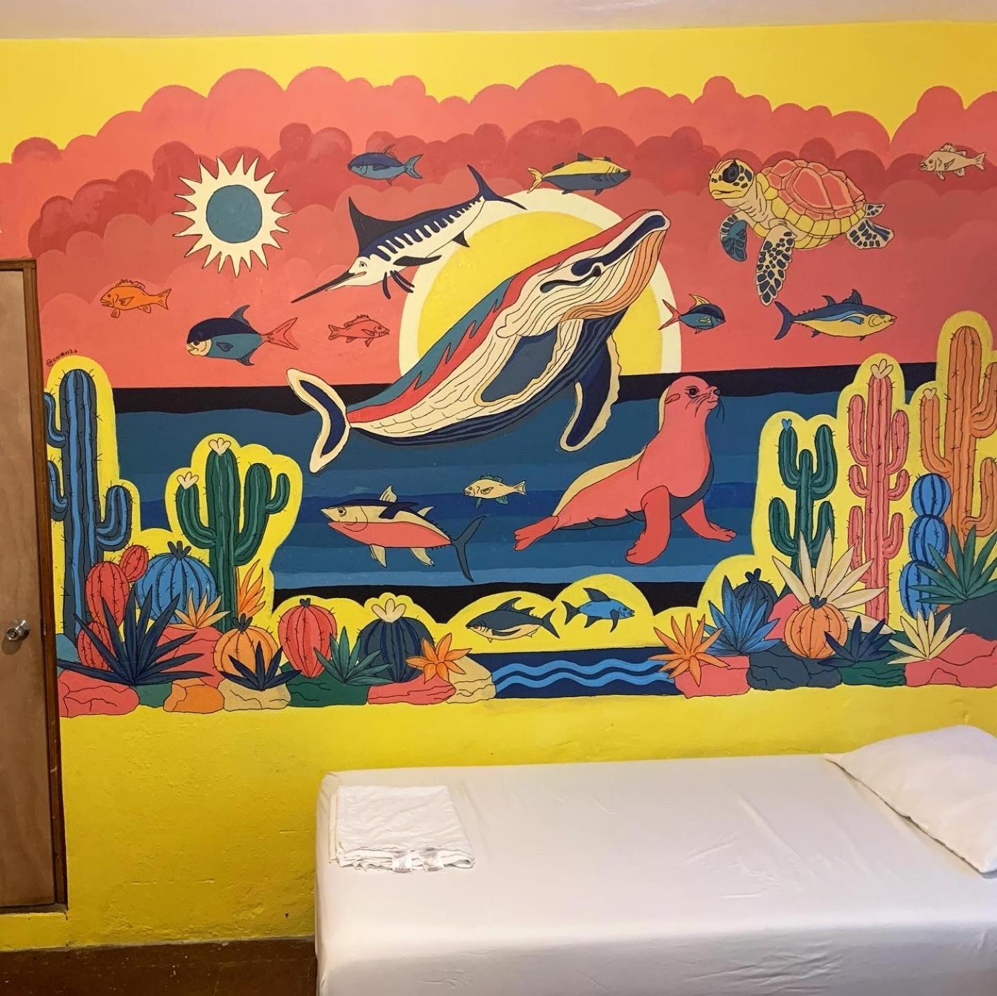 Desert Heart Hostel San José del Cabo المظهر الخارجي الصورة