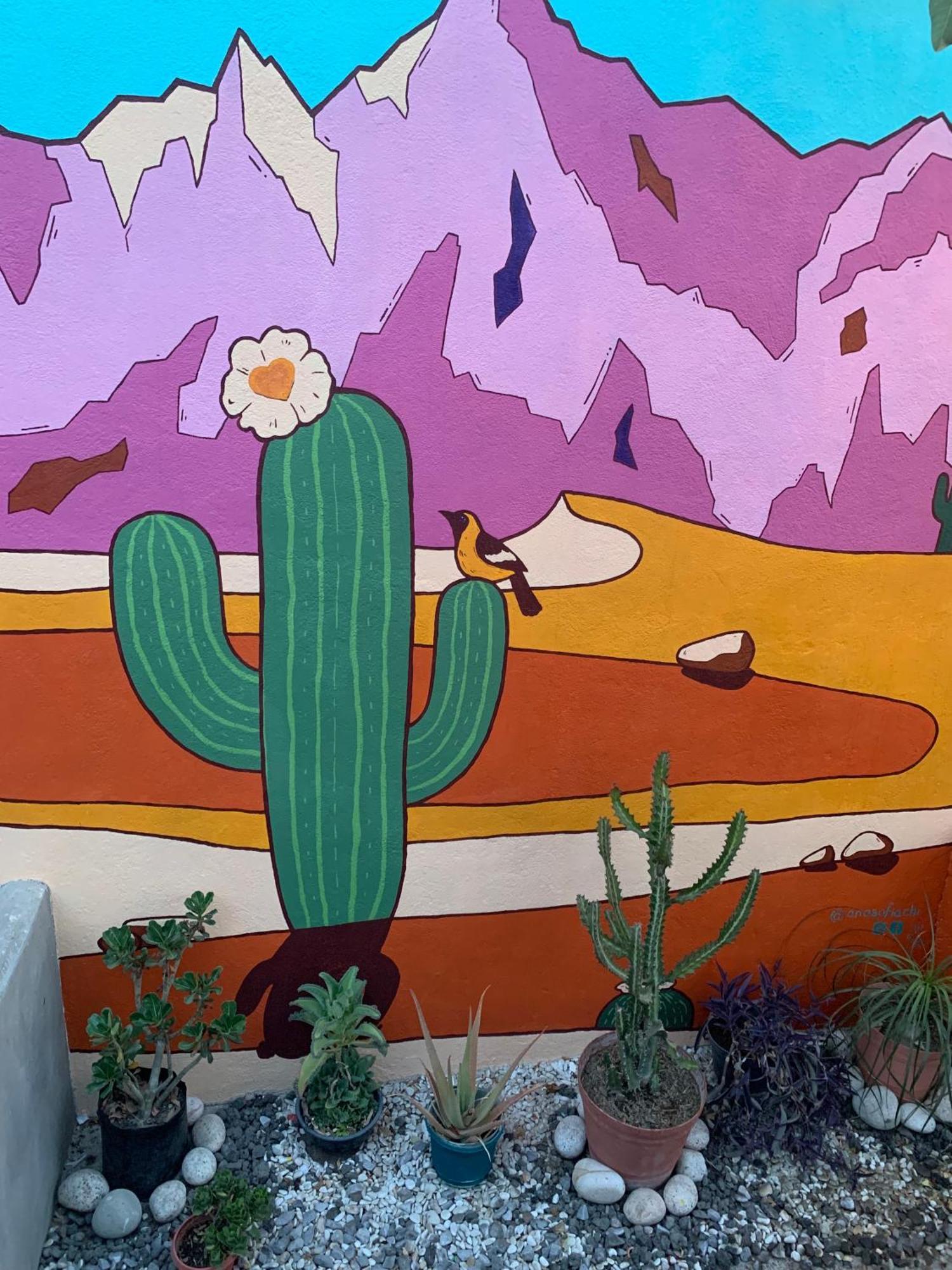 Desert Heart Hostel San José del Cabo المظهر الخارجي الصورة