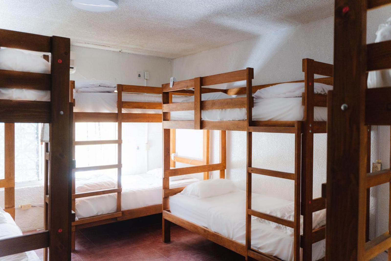Desert Heart Hostel San José del Cabo المظهر الخارجي الصورة
